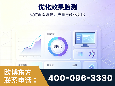 荆州-优化效果监测