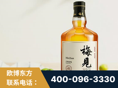 荆州-梅见青梅酒